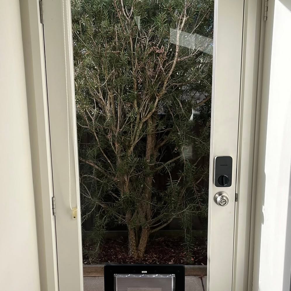 A pet door fitted into a glass door with a tea tree filling the view outside